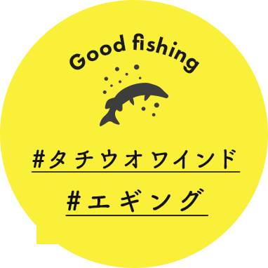 Good fishing  #タチウオワインド #エギング