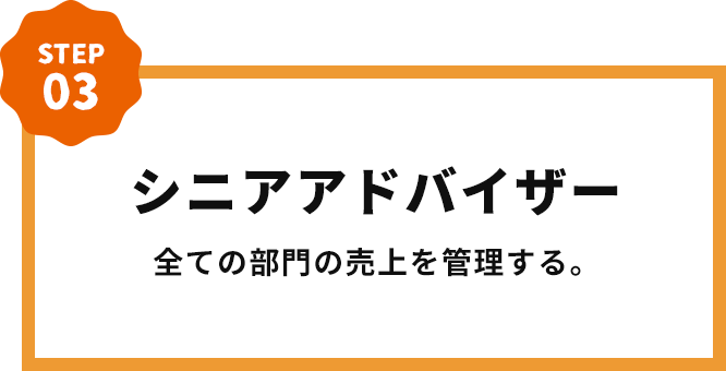 シニアアドバイザー