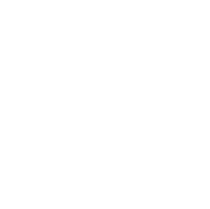 SELECTION